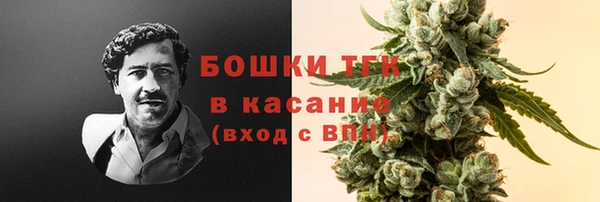 шишки Нефтекумск
