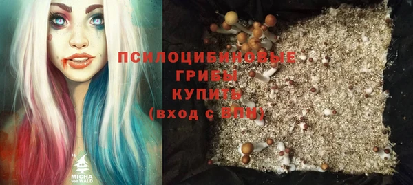 марихуана Новодвинск