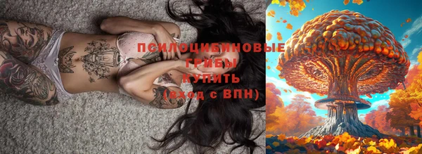 мескалин Новозыбков