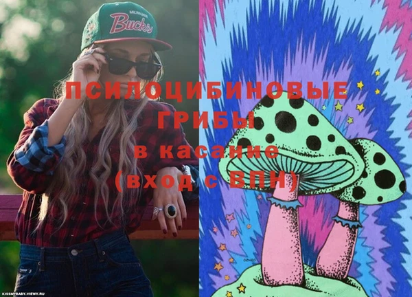 PSILOCYBIN Нефтегорск