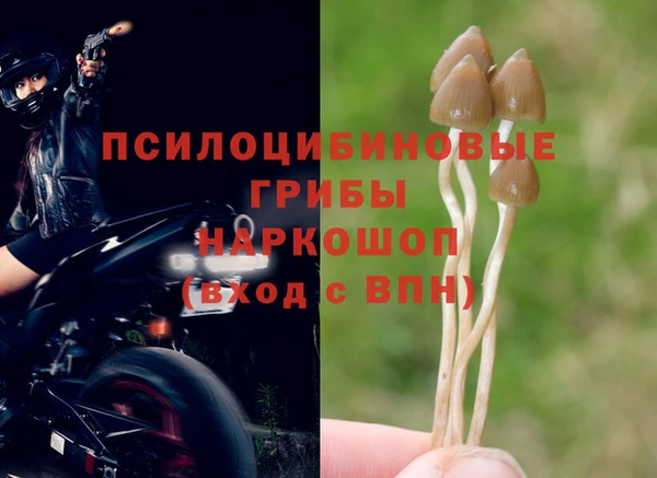 шишки Нефтекумск