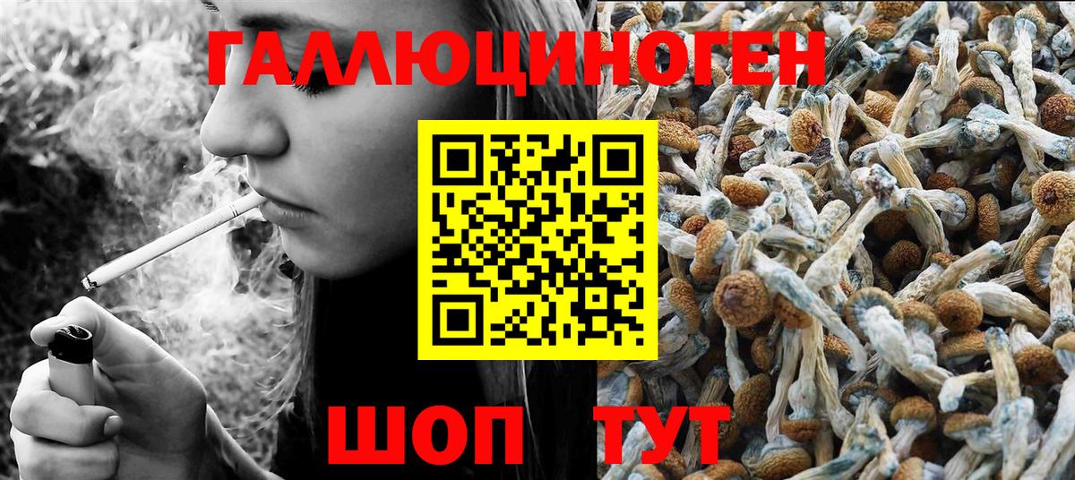 Псилоцибиновые грибы Magic Shrooms  Кингисепп 